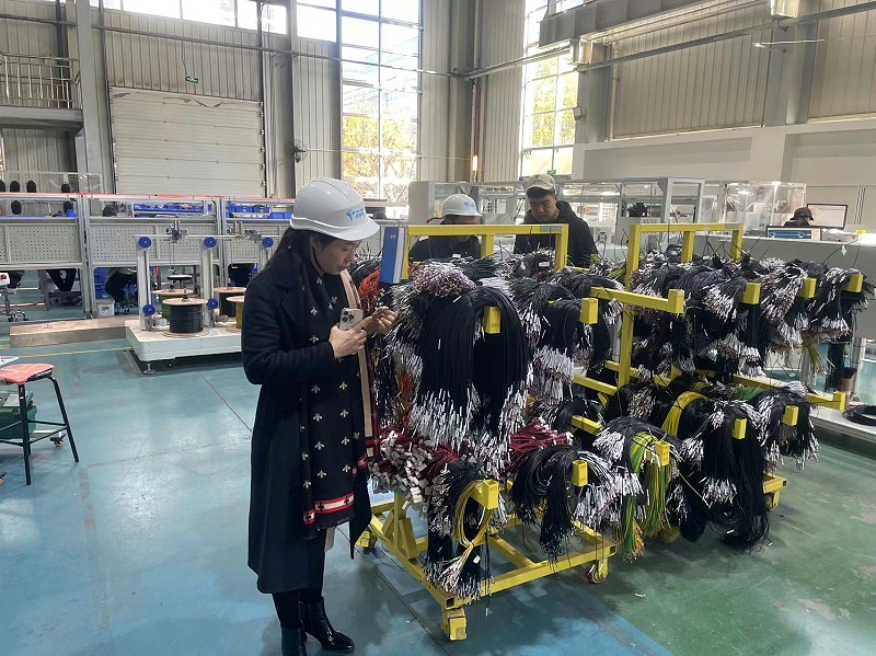 線束樣品 線束樣品